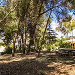 Bosque Sao Jose By Algarneto 4* 阿尔布费拉