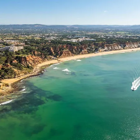 Bosque Sao Jose By Algarneto